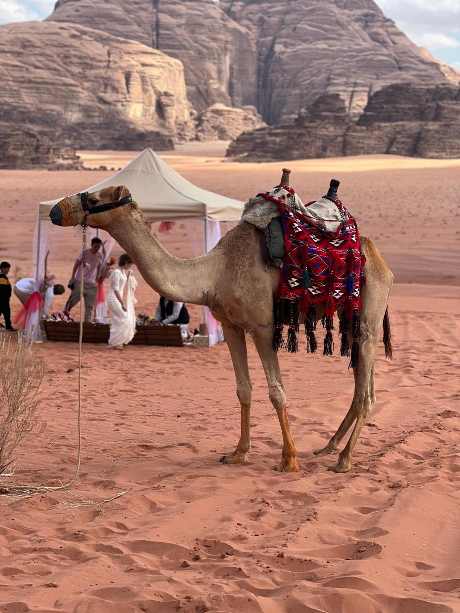 Moon Magic Valley Appartement Wadi Rum Buitenkant foto