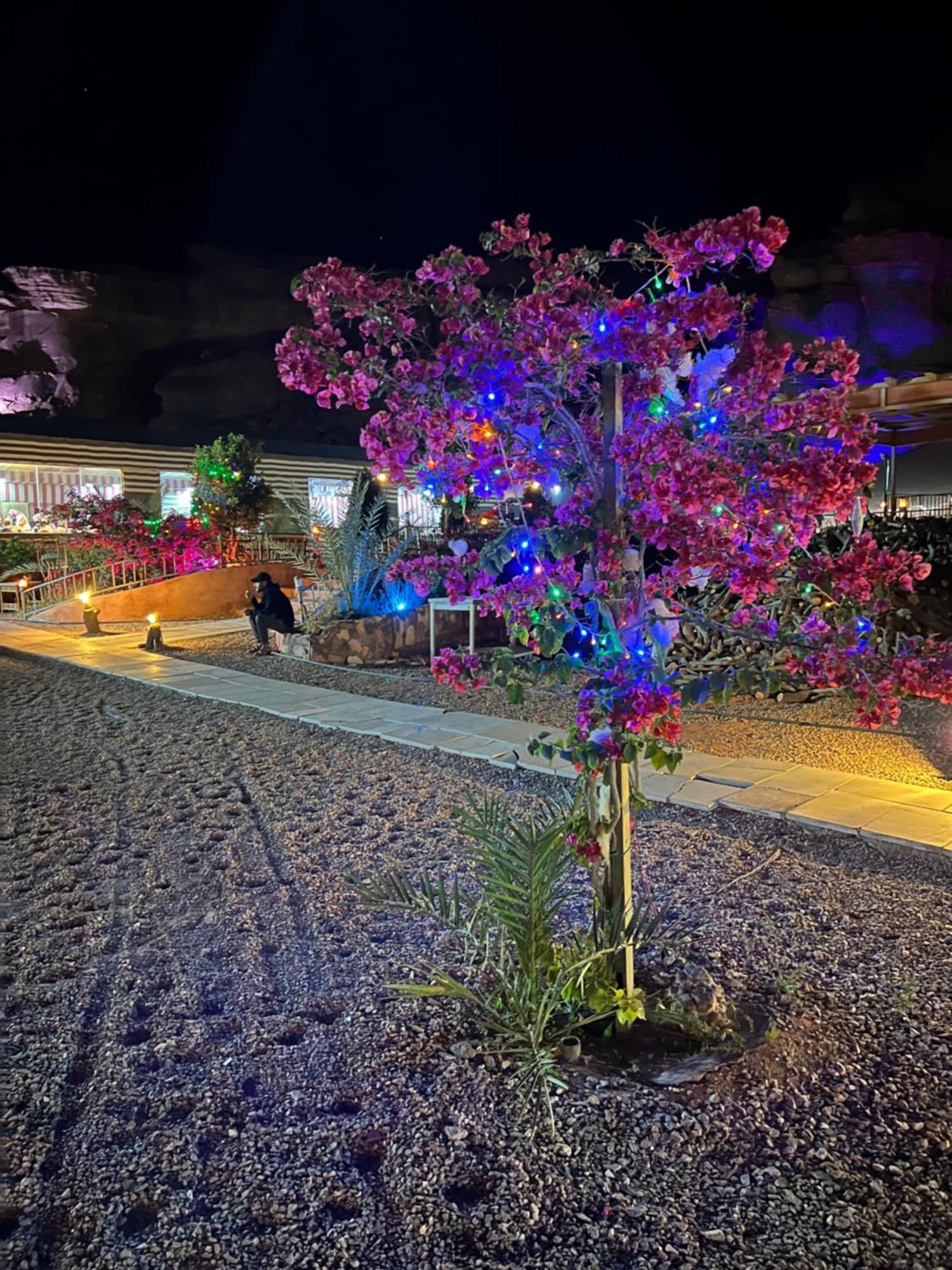 Moon Magic Valley Appartement Wadi Rum Buitenkant foto
