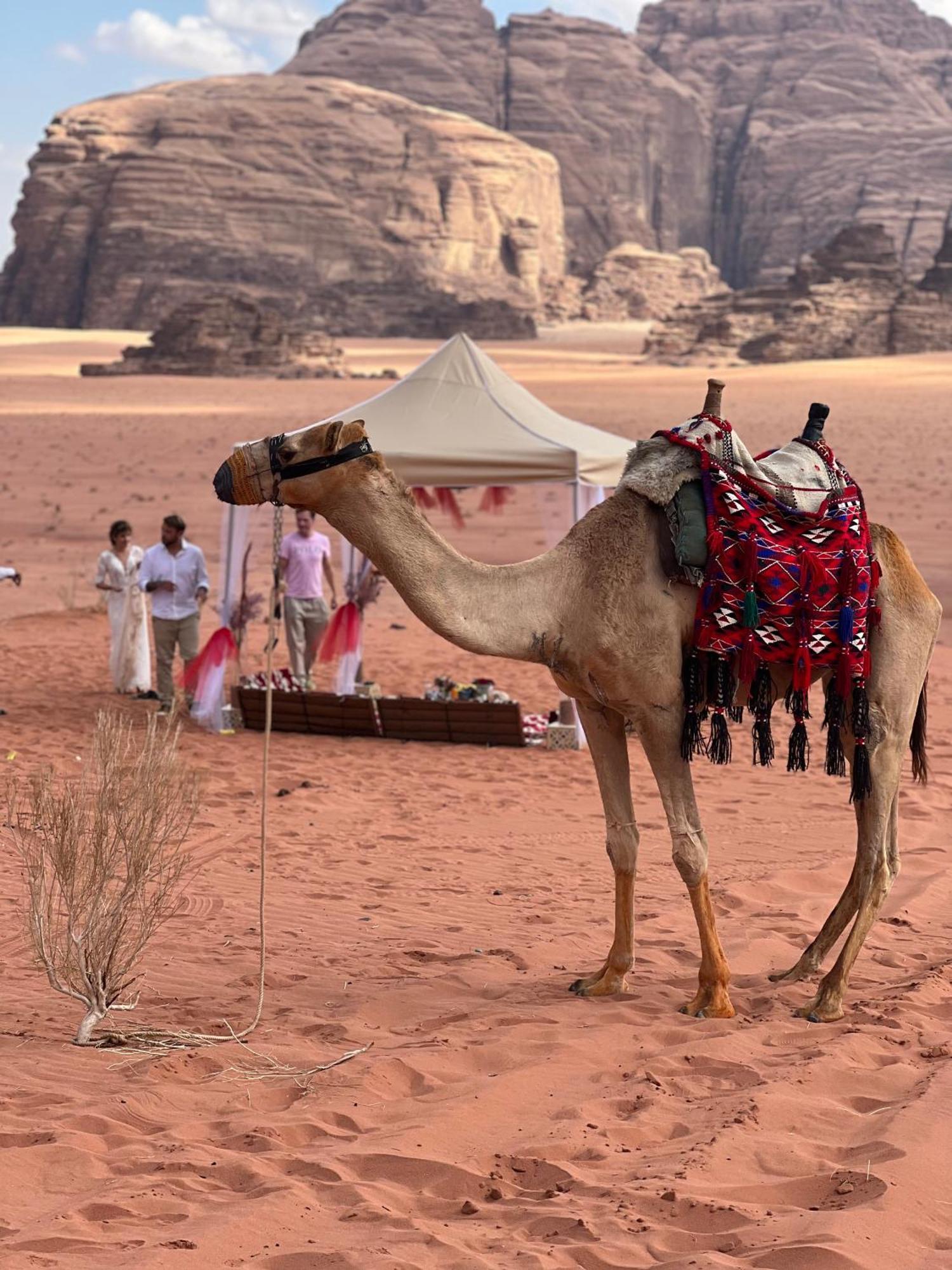 Moon Magic Valley Appartement Wadi Rum Buitenkant foto